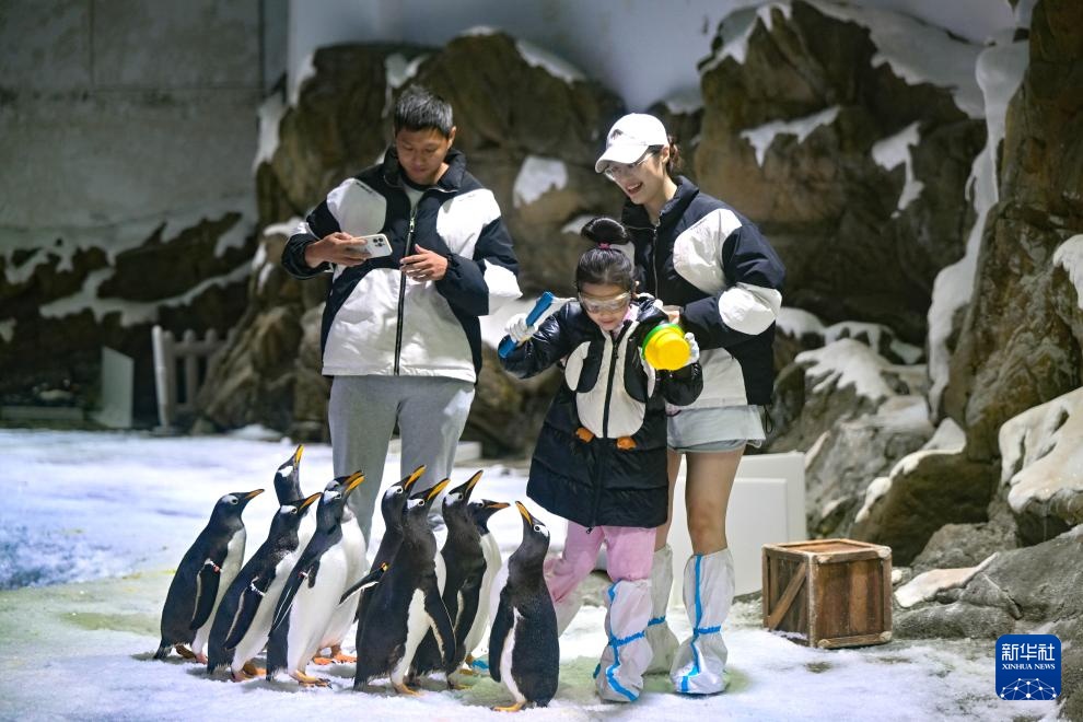 海南陵水:惬意错峰游 海南陵水:惬意错峰游