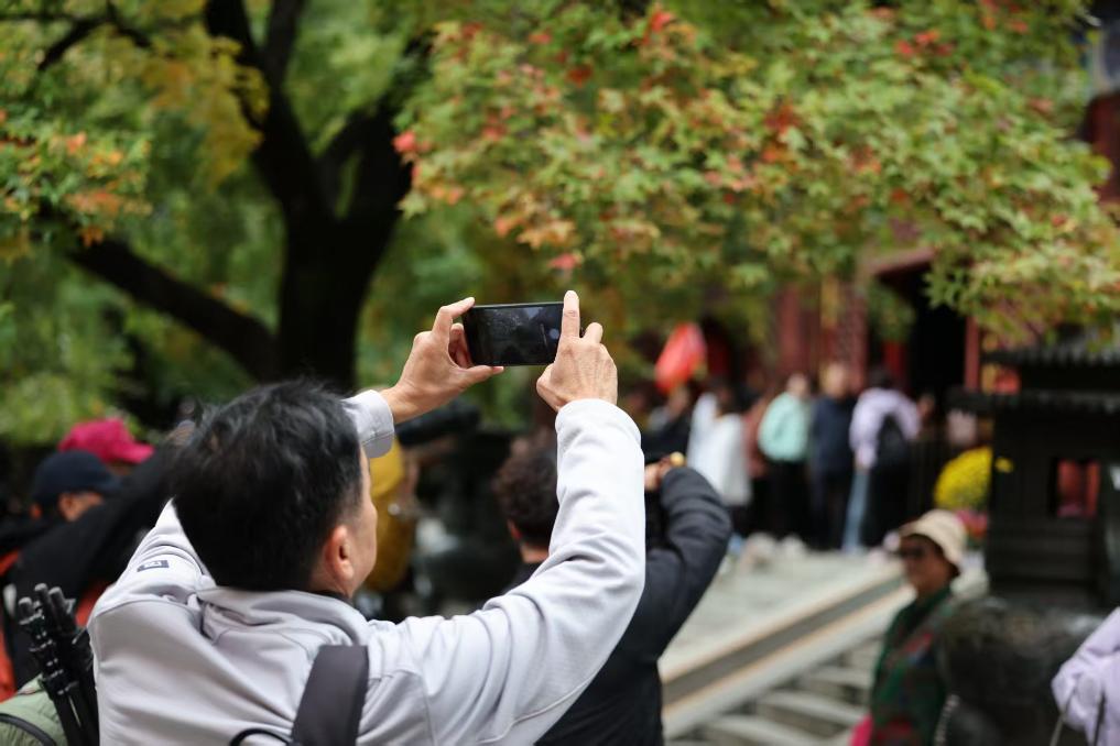秋色宜人 北京香山红叶将迎最佳观赏期