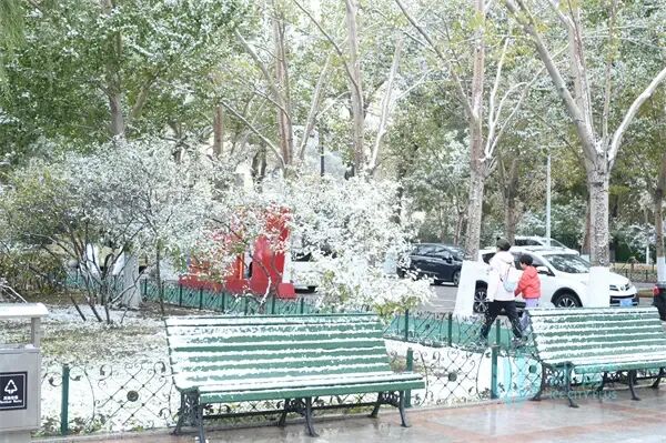 浪漫满分!冰城风雪漫卷,夜间气温较低 浪漫满分!冰城风雪漫卷,夜间气温较低