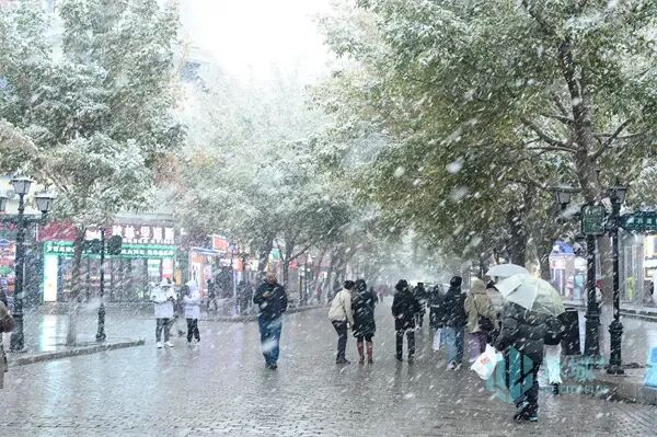 浪漫满分!冰城风雪漫卷,夜间气温较低 浪漫满分!冰城风雪漫卷,夜间气温较低