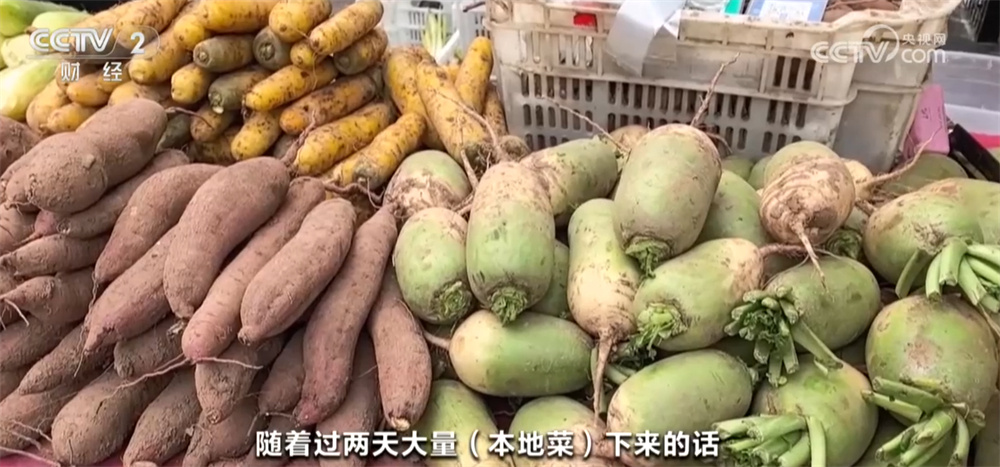 冬储菜上市热销保障公众秋冬季“菜篮子”供应 “一元菜”受欢迎