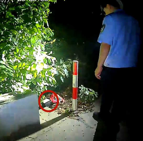 女子草丛藏11万现金,以奶茶杯为记号!民警却追回66.43万? 女子草丛藏11万现金,以奶茶杯为记号!民警却追回66.43万?