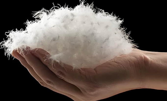 注意!低于这个价格可能不是真羽绒 注意!低于这个价格可能不是真羽绒