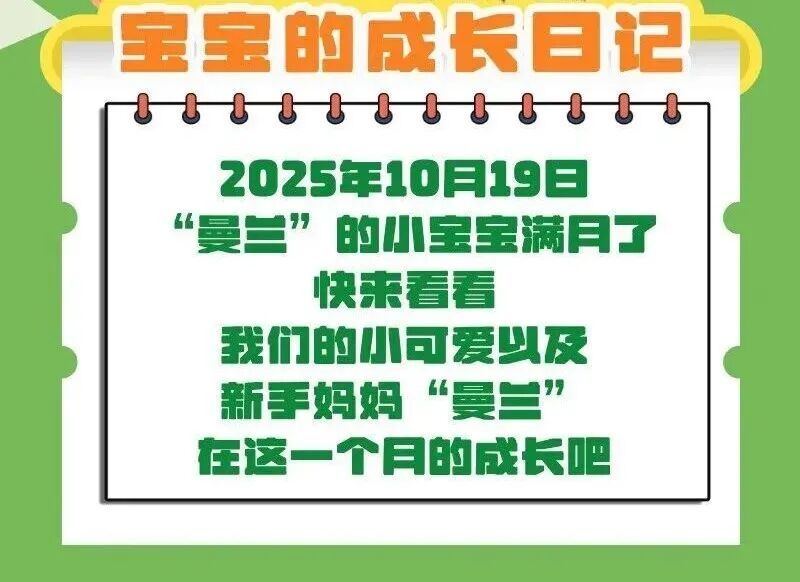 满月啦!大熊猫“曼兰”喜得贵子 满月啦!大熊猫“曼兰”喜得贵子