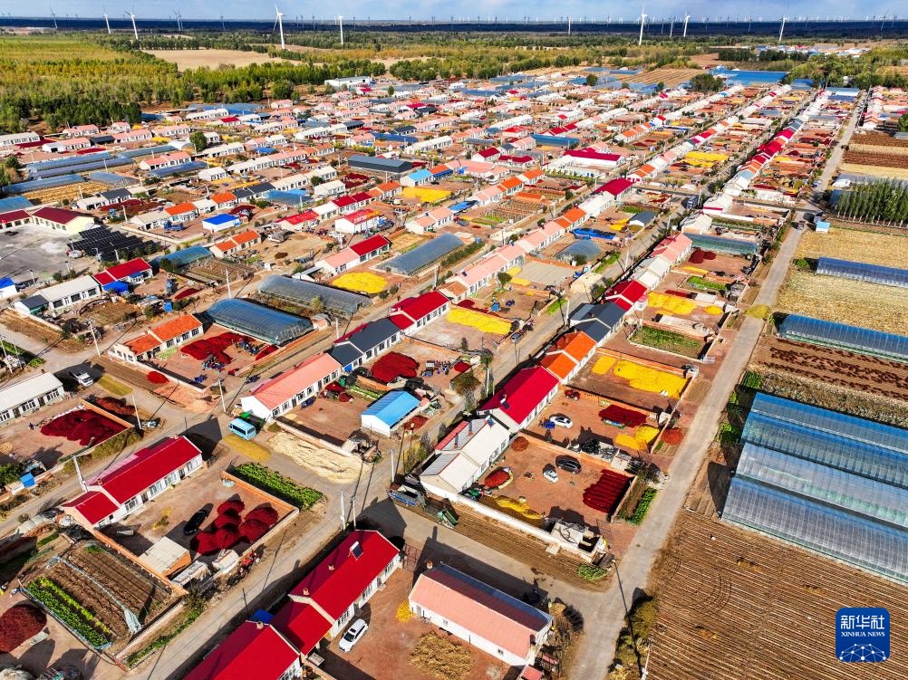 内蒙古通辽:火红干椒迎丰收 内蒙古通辽:火红干椒迎丰收