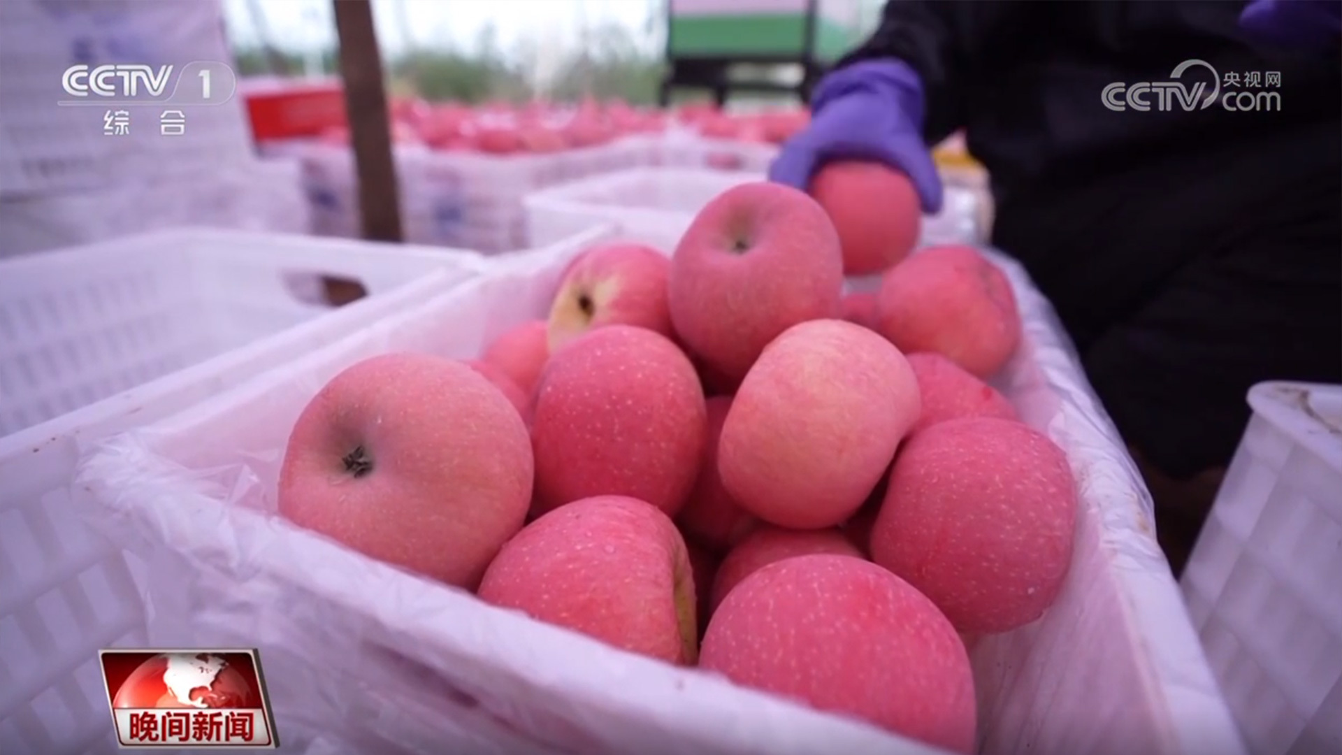 稻浪翻滚、瓜果飘香 神州大地好“丰”景