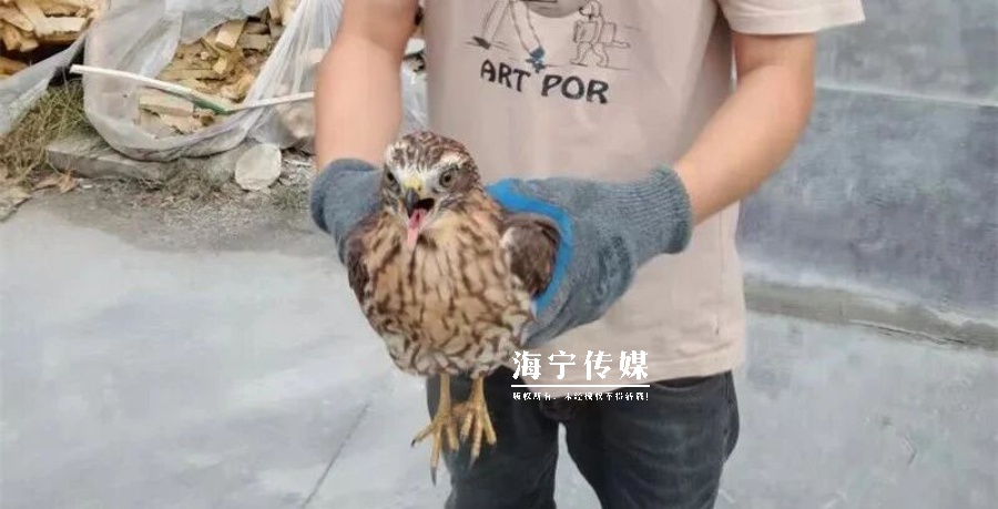 吓一跳!浙江一工厂惊现神秘动物,绝大多数人没见过 吓一跳!浙江一工厂惊现神秘动物,绝大多数人没见过