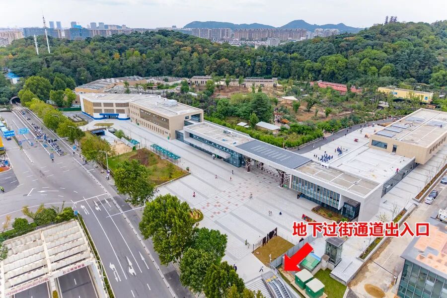 5分钟！直达红山动物园南门