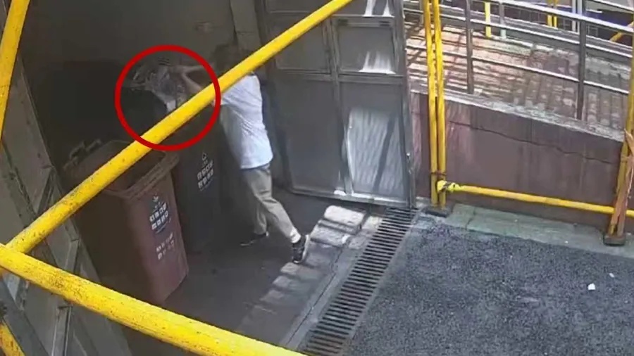 “断舍离”莫大意！上海女子帮母亲大扫除，50万黄金首饰被“处理”进垃圾桶