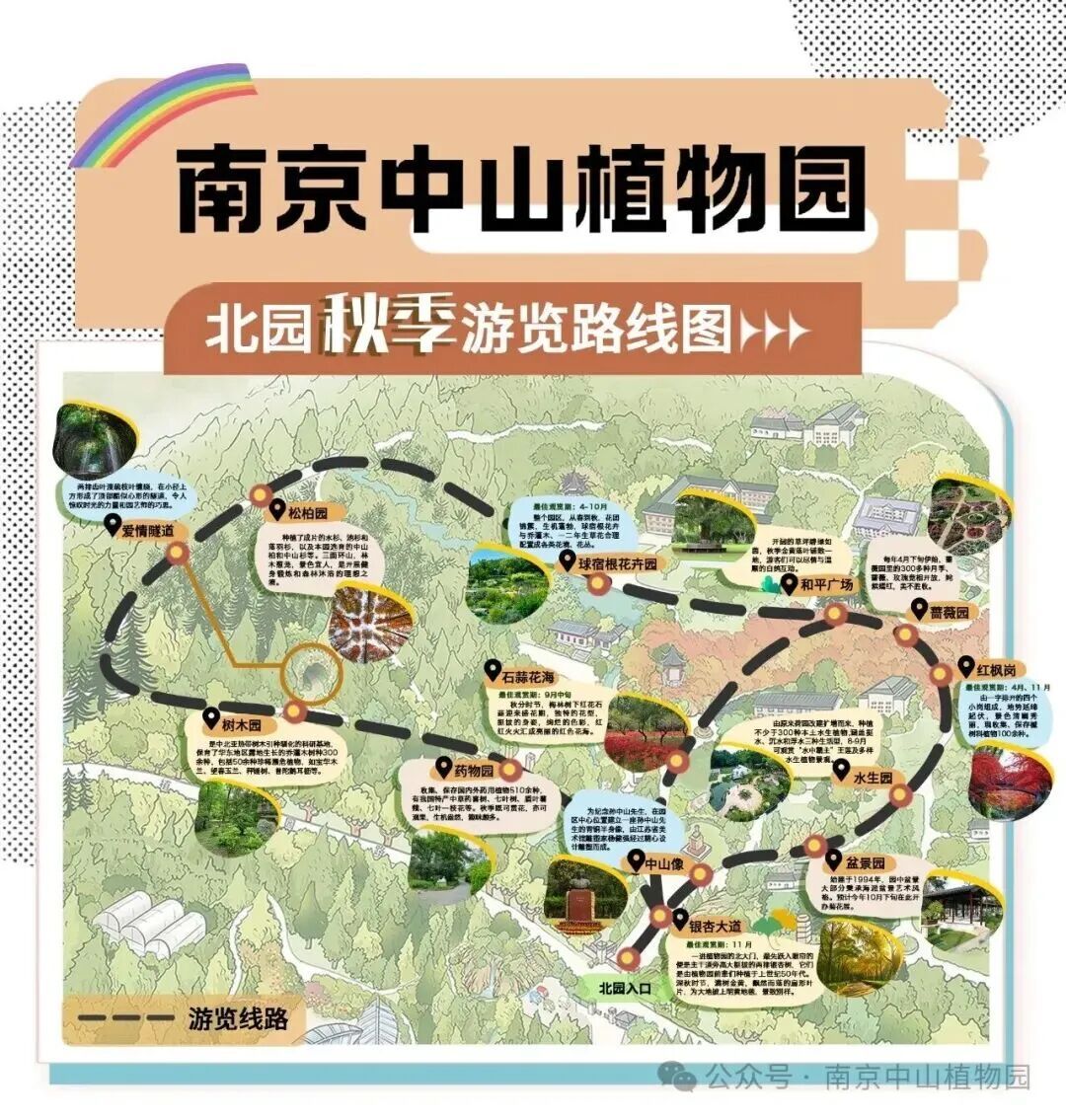 南京入秋了!有哪些“捡秋”好去处? 南京入秋了!有哪些“捡秋”好去处?