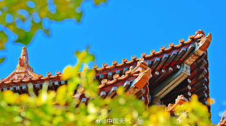 故宫角楼与秋叶同框惊艳了时光