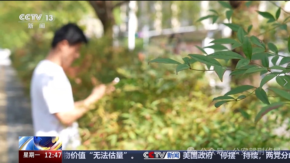 亲手递现金！被害者为何主动给骗子 “送钱”？