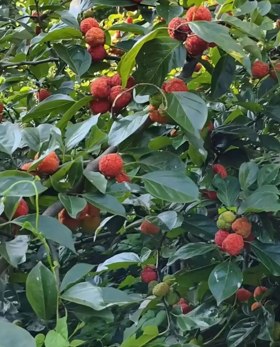 南京入秋了!有哪些“捡秋”好去处? 南京入秋了!有哪些“捡秋”好去处?