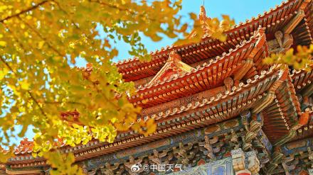 故宫角楼与秋叶同框惊艳了时光