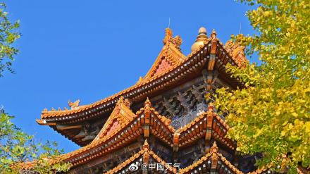 故宫角楼与秋叶同框惊艳了时光