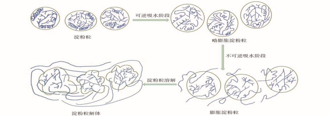 大米粥是“升糖高手”不能喝?注意这5点 一起科学健康喝粥 大米粥是“升糖高手”不能喝?注意这5点 一起科学健康喝粥