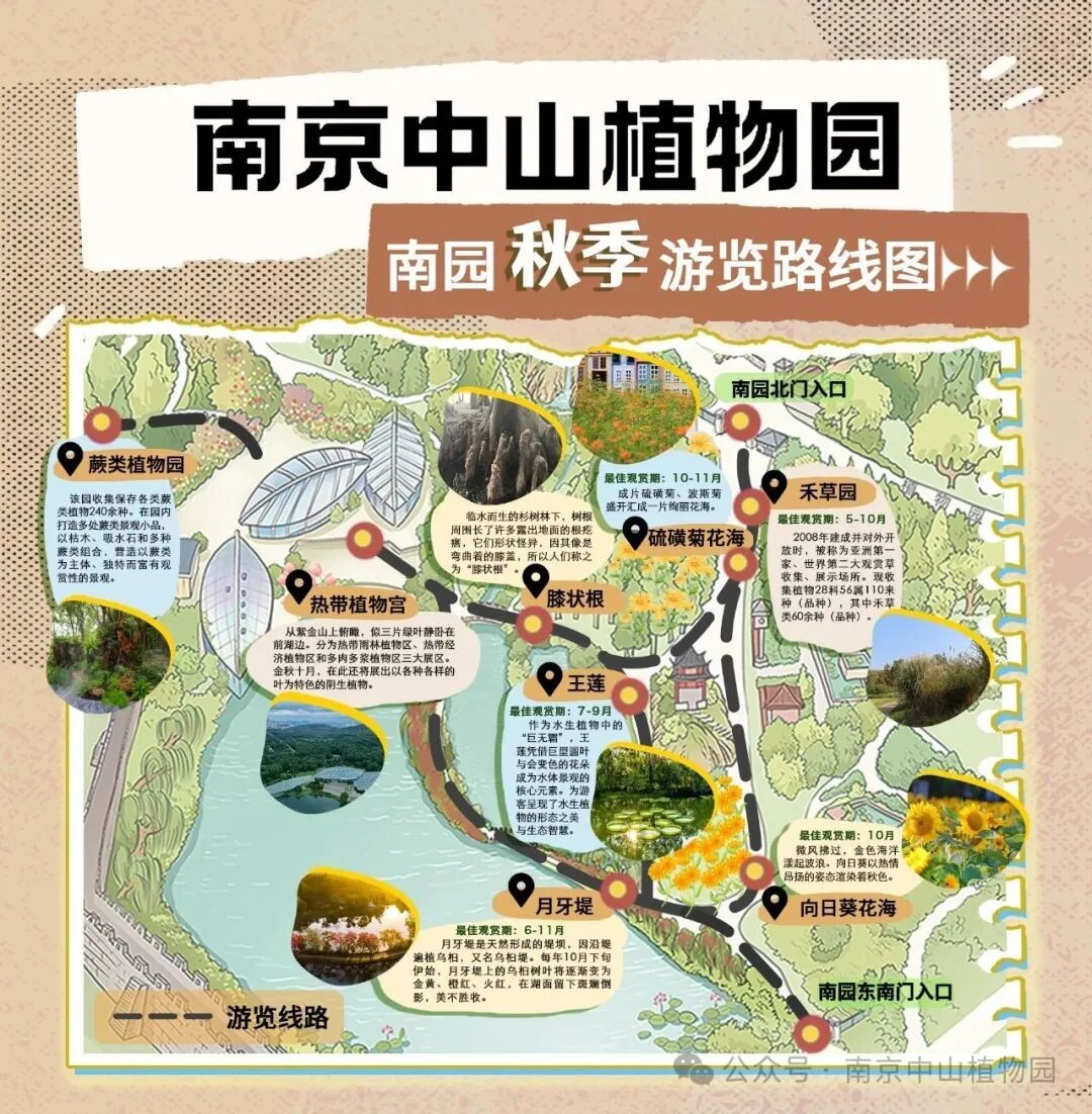 南京入秋了!有哪些“捡秋”好去处? 南京入秋了!有哪些“捡秋”好去处?