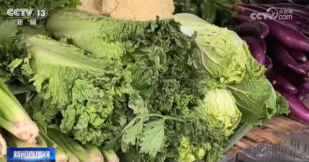 “多点发力”全力保障居民“菜篮子”供应 冬储菜价格亲民受欢迎 “多点发力”全力保障居民“菜篮子”供应 冬储菜价格亲民受欢迎