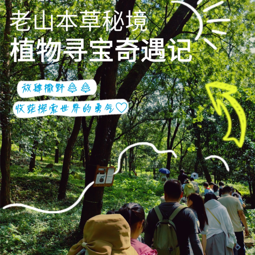 南京入秋了!有哪些“捡秋”好去处? 南京入秋了!有哪些“捡秋”好去处?