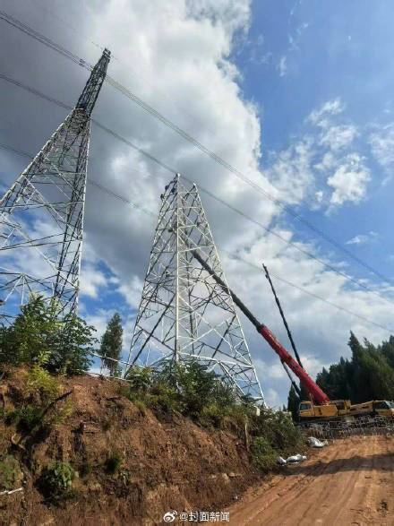 7条高压线拐弯6公里为候鸟让道