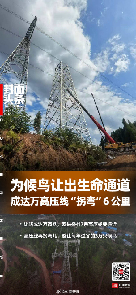7条高压线拐弯6公里为候鸟让道