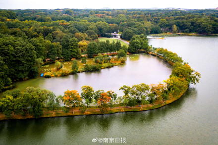 秋日南京韵味十足 秋日南京韵味十足
