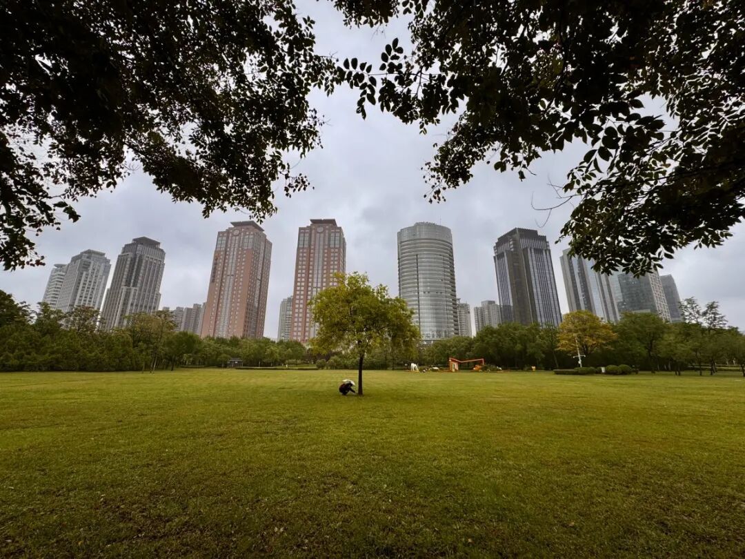 连续阴雨容易诱发抑郁？郑州抑郁门诊患者增五成，专家教你用“光”调整情绪