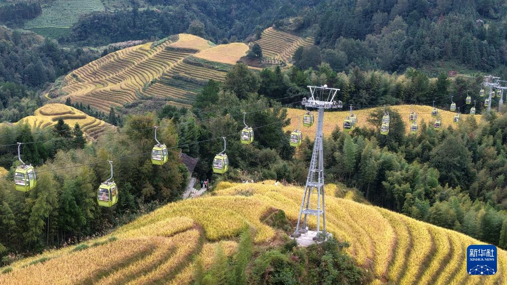 广西龙胜：金秋梯田美如画