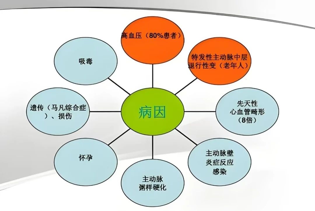 西安一医院1天收治13例!医生:可能几十秒人就没了,有这些征兆务必警惕! 西安一医院1天收治13例!医生:可能几十秒人就没了,有这些征兆务必警惕!