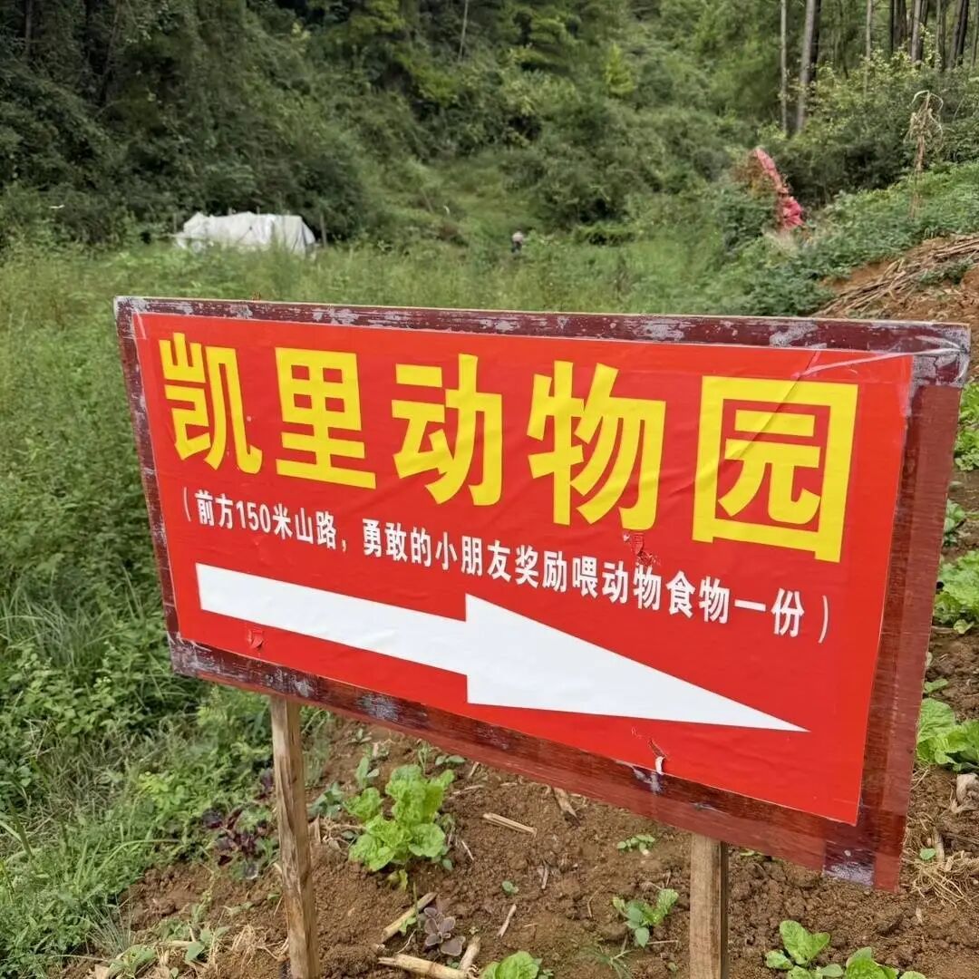 贵州本地人都不知道的动物园火了！网友：原始风，动物很多