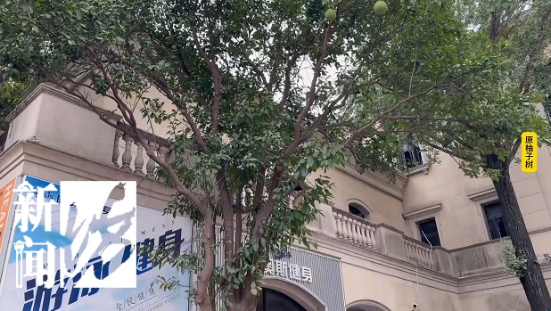 已立案！或3到5倍罚款！上海一小区被"大拆大改"，居民懵了…