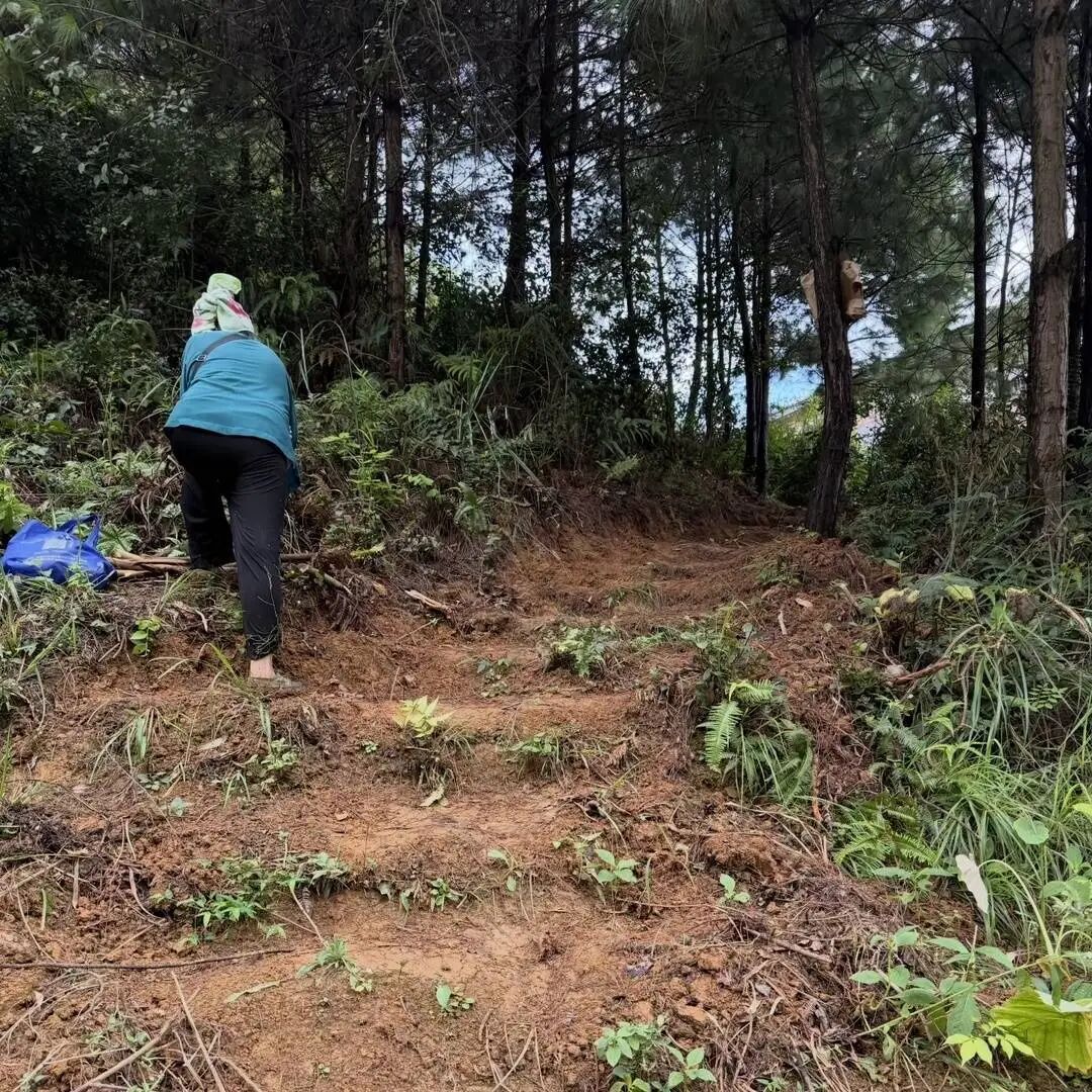 贵州本地人都不知道的动物园火了！网友：原始风，动物很多