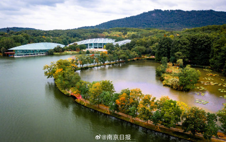 秋日南京韵味十足 秋日南京韵味十足