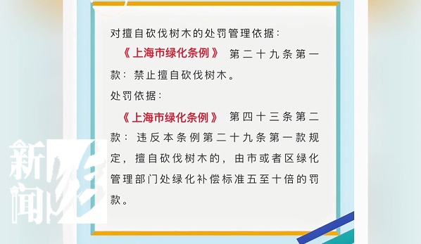 已立案！或3到5倍罚款！上海一小区被"大拆大改"，居民懵了…