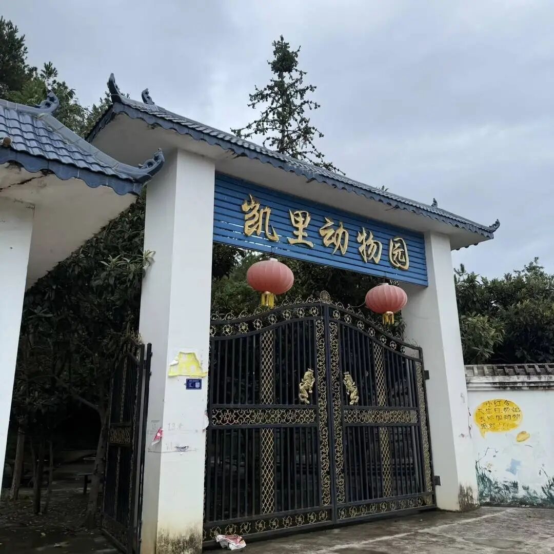 贵州本地人都不知道的动物园火了！网友：原始风，动物很多