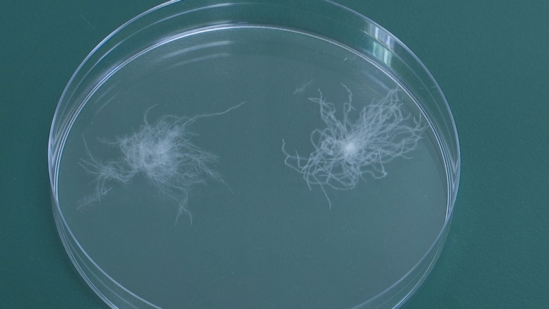 “300元以下基本买不到真羽绒服”上热搜！真的吗？