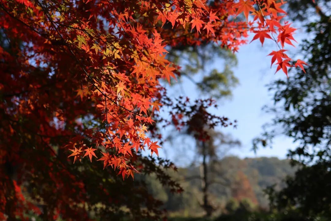 冷空气影响接近尾声，江西要升温了