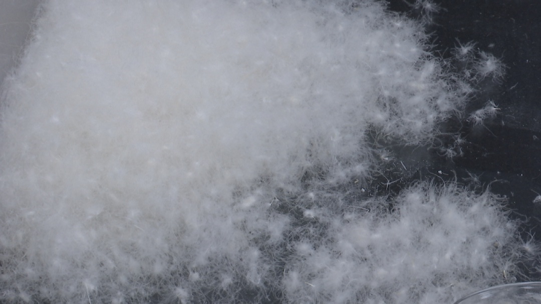 “300元以下基本买不到真羽绒服”上热搜！真的吗？