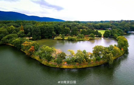 秋日南京韵味十足 秋日南京韵味十足