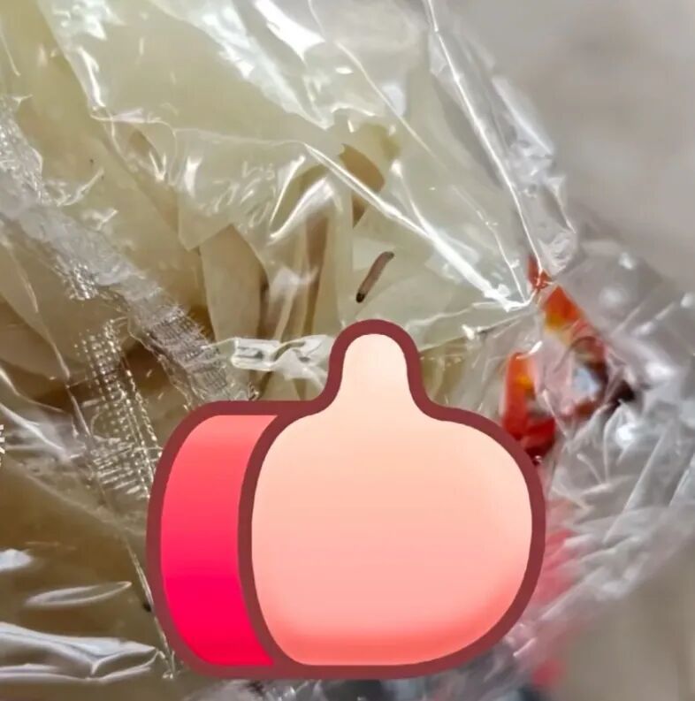 每包都有“蛆”?网红品牌客服:是印度谷螟幼虫;此前刚因产品发霉致歉并召回 每包都有“蛆”?网红品牌客服:是印度谷螟幼虫;此前刚因产品发霉致歉并召回