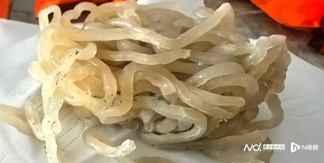 每包都有“蛆”?网红品牌客服:是印度谷螟幼虫;此前刚因产品发霉致歉并召回 每包都有“蛆”?网红品牌客服:是印度谷螟幼虫;此前刚因产品发霉致歉并召回