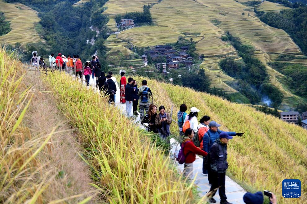 广西龙胜：金秋梯田美如画