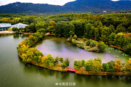 秋日南京韵味十足 秋日南京韵味十足