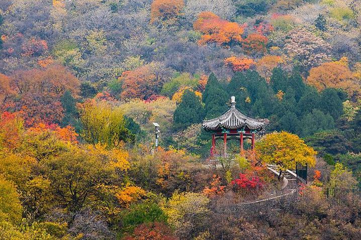 霜降已到，全国红叶上线中！这些“出片宝地”藏不住了