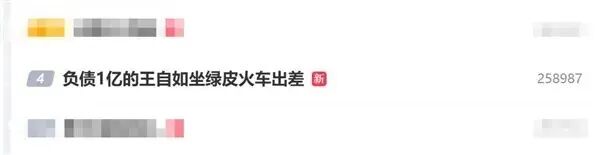 负债1亿的王自如坐绿皮火车出差 负债1亿的王自如坐绿皮火车出差