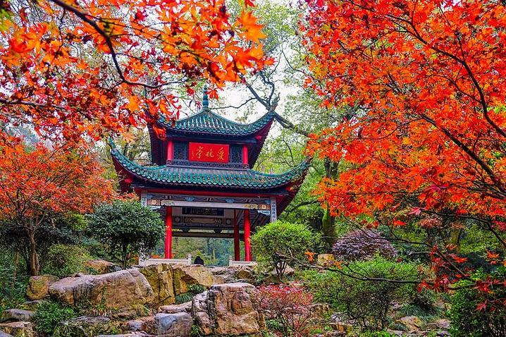 霜降已到，全国红叶上线中！这些“出片宝地”藏不住了