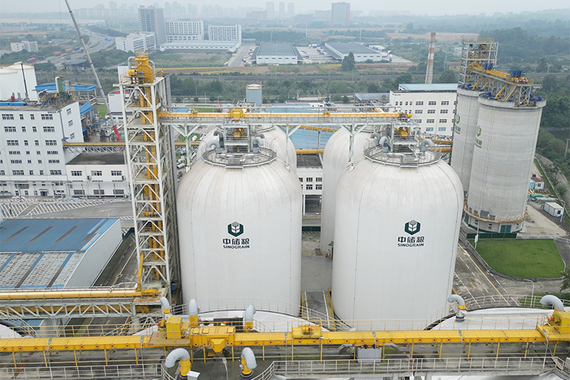 气膜仓储粮、AI虫情监测分析 大国粮仓科技范儿十足 气膜仓储粮、AI虫情监测分析 大国粮仓科技范儿十足