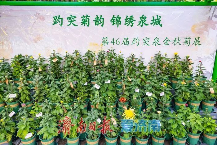 惊艳亮相!济南人又多一个好去处→ 惊艳亮相!济南人又多一个好去处→