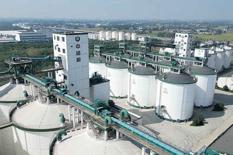 气膜仓储粮、AI虫情监测分析 大国粮仓科技范儿十足 气膜仓储粮、AI虫情监测分析 大国粮仓科技范儿十足