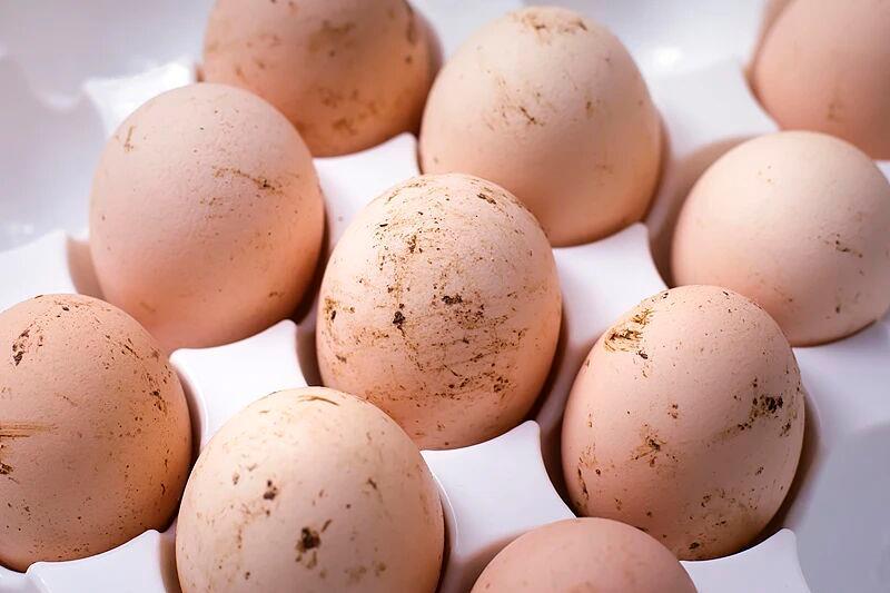 蛋制品生产许可新规来了 鸡蛋这样放才安全→